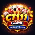 CT111 Game